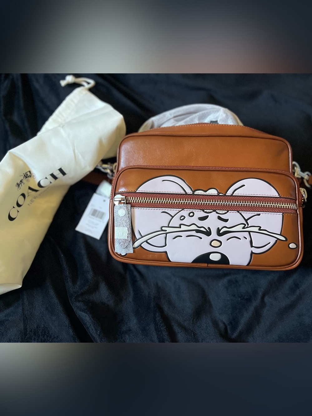 Coach Brain Dead Dakota Crossbody